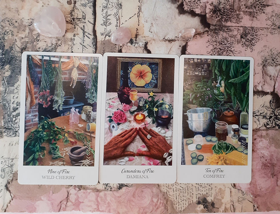 Guidance de la semaine. La guidance spirituelle collective du 25 au 31 mai 2026. Découvre le message de ton âme. Tirage réalisé avec The Herbcrafter's tarot.