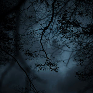 Nuit noire de l'âme : Entre crise existentielle et appel spirituel, comprendre la nuit noire de l’âme et trouver des appuis concrets pour la traverser avec douceur.