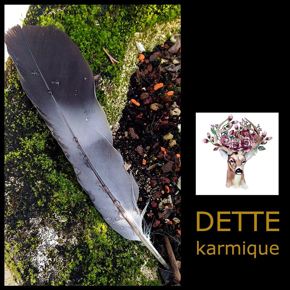 Dette karmique. dette karmique définition. effacer une dette karmique