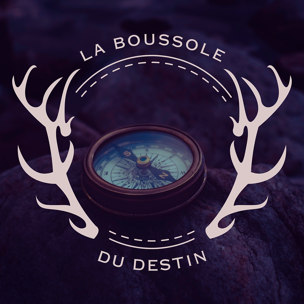 Chemin de vie et mission d’âme : découvre les 5 cartes de ton destin