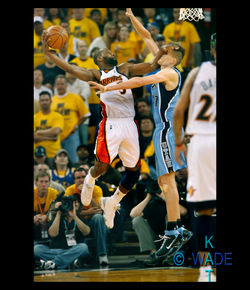 fullframeTHEDUNK8x10