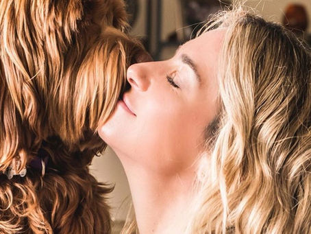 Cuidado de nuestro perro, algunos consejos.