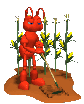 hormiga-24.gif