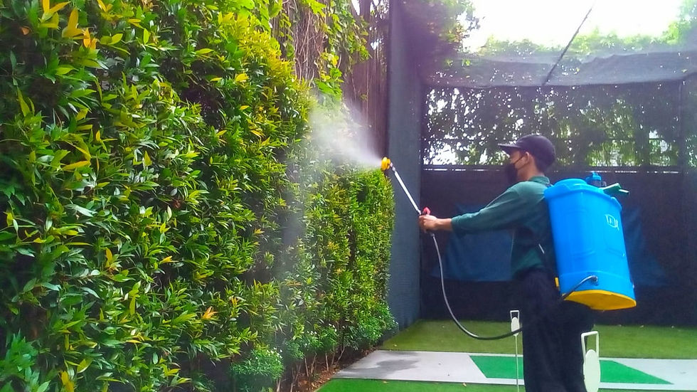 Sense Hospitality Landscape Design & Maintenance