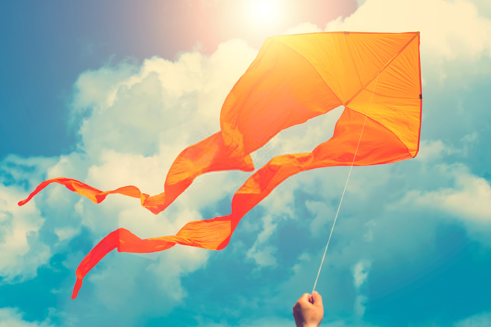 Flying Kite in India may End you up in Jail for 2 Years or a Fine of Ten Lakh Rupees or Both