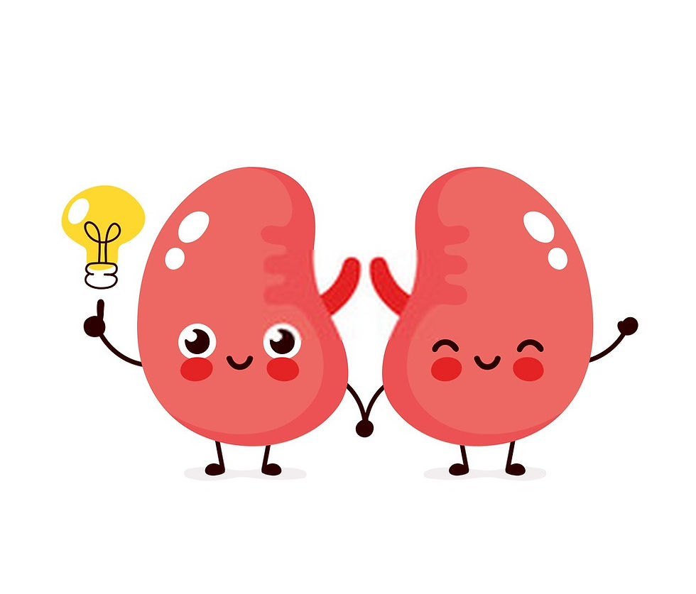 10 Best Foods To Avoid Kidney Diseases By Which 10% Of Global Population Is Already Affected