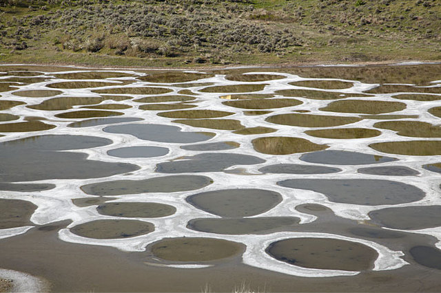 Lake Khiluk: Secret Behind The Magical Polka Dots Lake in Canada That Can Cure All Your Disease