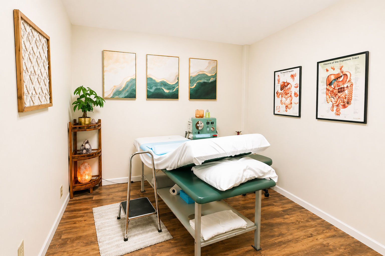 Private colon hydrotherapy treatment room at Iowa Colonics in Fairfield, Iowa