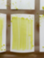 Paper saturated with cyanotype solution