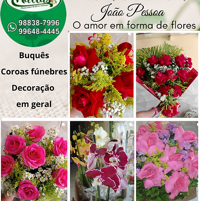 Floricultura (1).png