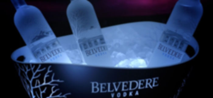 belvedere.jpeg