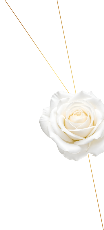 white-rose.png