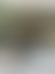 NGINEP DIMANA SIH BIAR TETANGGAN SAMA YG ENTERTAINMENT DI SEOUL?