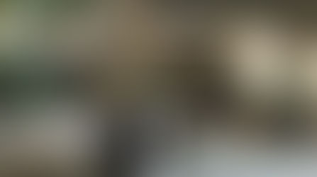 NGINEP DIMANA SIH BIAR TETANGGAN SAMA YG ENTERTAINMENT DI SEOUL?