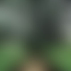 5 SPOT FOTO DI BANDUNG YANG BIKIN BETAH DAN INSTAGRAMABLE