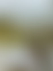 LIBURAN HEMAT? KE BANYUWANGI AJA! BAGUS BANGET!