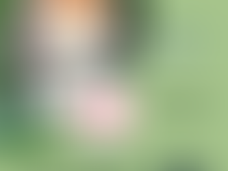 Nova col.laboració! 