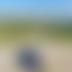 Què són els vèrtexs geodèsics i per què són necessaris?