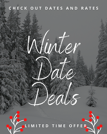 Happy Holidays! (1).png