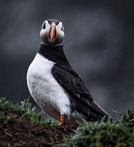 Bad weather day .jpg