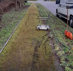 Pavement overgrown before work taken place