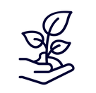 37.png