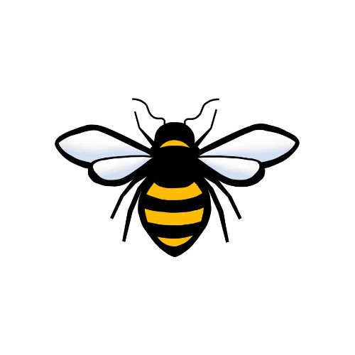 Writer: Bee More Design