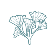 Sketch coral