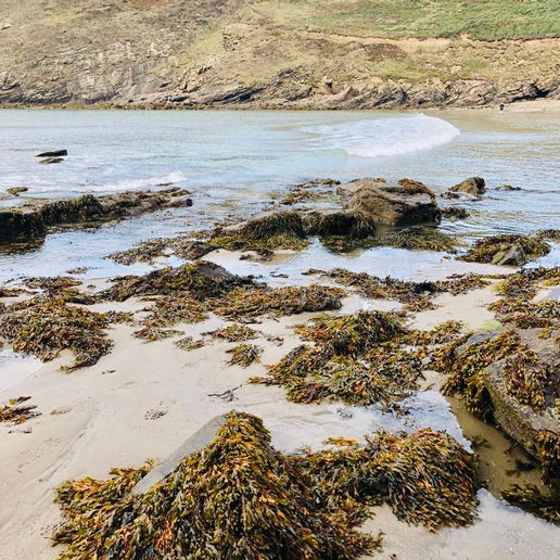 Nolton Haven beach