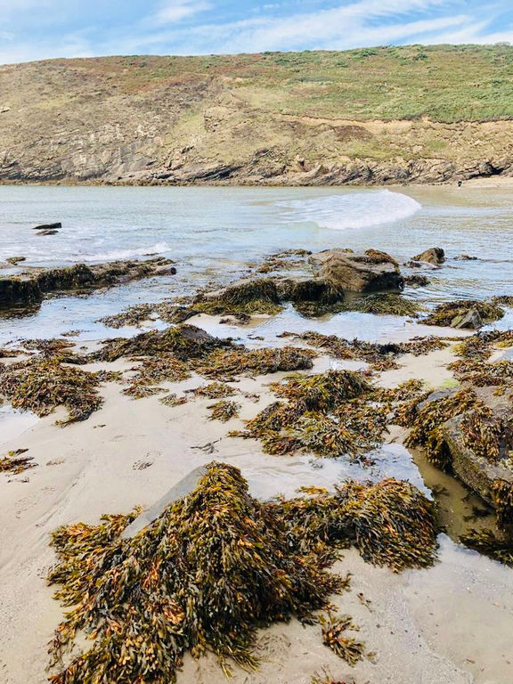 Nolton Haven beach
