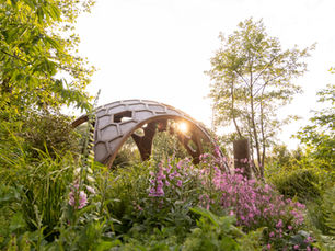 Chelsea Flower Show 2022 Roundup