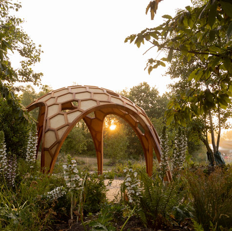 Wooden Structure positioned in the National Forest Derbyshire