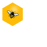 Honeycomb image depicting Website Design package by Bee More Design