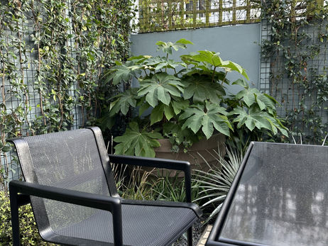 Outdoor chair, table, and green plants in a courtyard