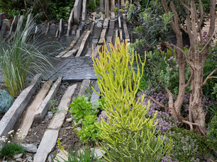 Pro Landscaper May 2019