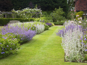 Homes & Gardens: New Garden Designers – the freshest talent in horticulture