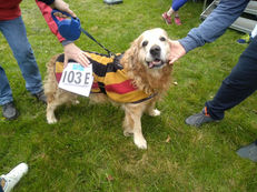Romsey Relay Marathon