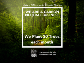 Shifting Gears for a Greener Future: The Impact of Your Driving Lessons