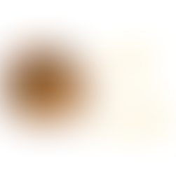 Website Accessibility: in a nutshell