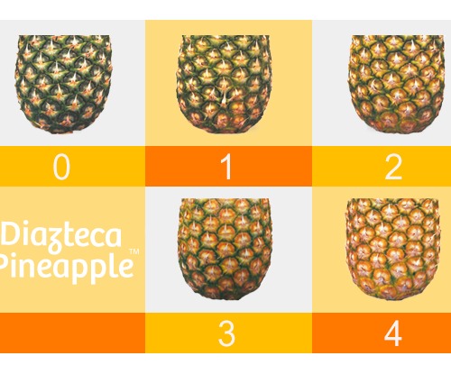 Diazteca pineapple color chart