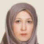 Dr.-Mehrnoush-Shamsfard-3601432549.jpg
