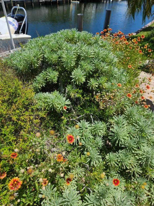 Vía fluvial+scapr+Howard+Tonkin-493100105.jpg