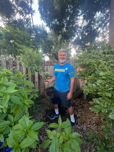 Planting an avocado tree.png
