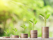 Spring Budget 2024 Newsletter