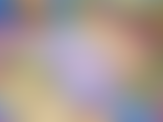 Iran conflict and related risks