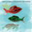 Thumbnail: 4 x Sensory Gel Fish Shapes