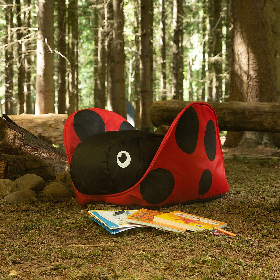 Thumbnail: BazZoo Ladybird Adventure Seat