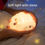 Thumbnail: Cute LED Night Light Sheep Rechargeable Bedside Touch Lamp