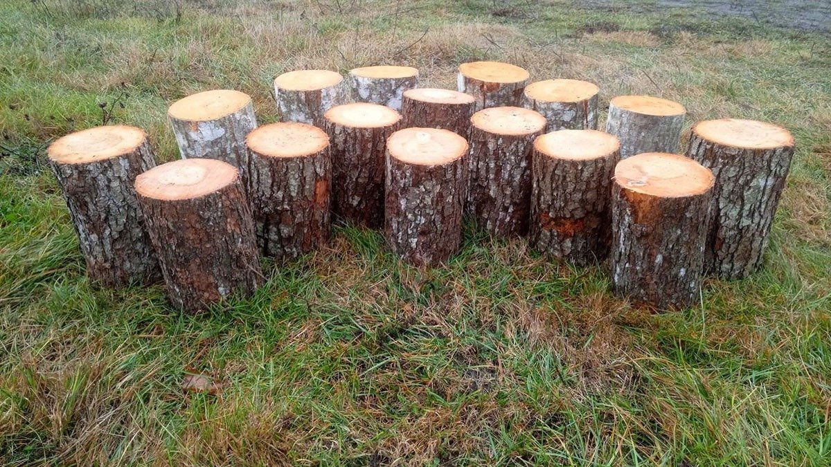 Amphitheatre Seating Half Set