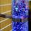 Thumbnail: Sensory Bubble Tube (90cm), with Remote & Wall Bracket (2 Pack)